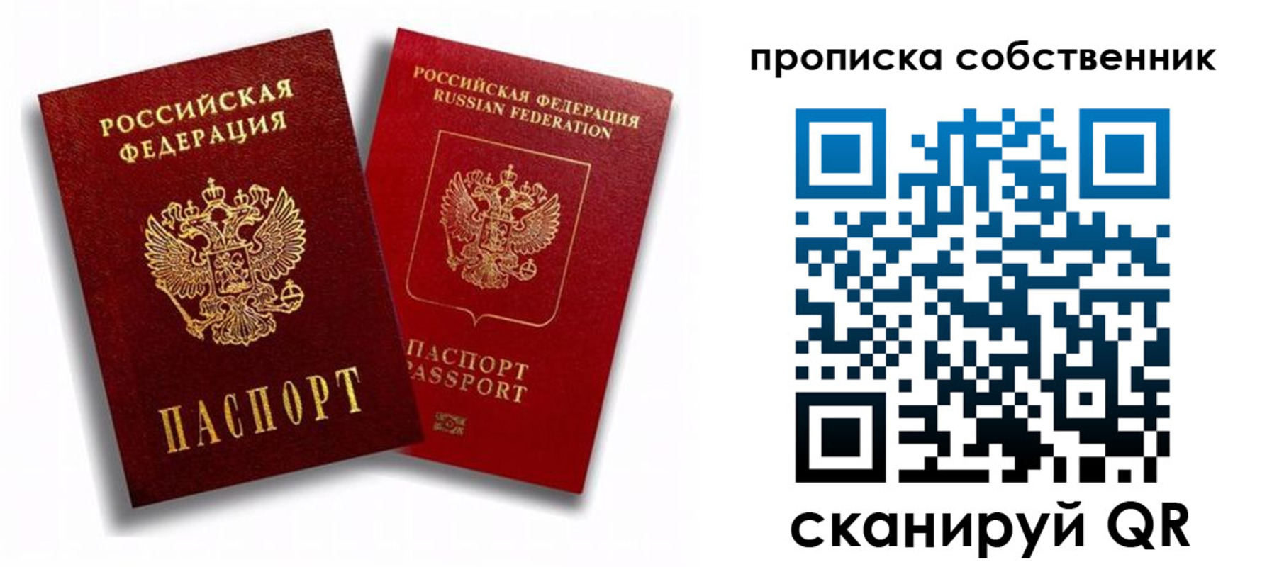 прописка 2025 в Вольске